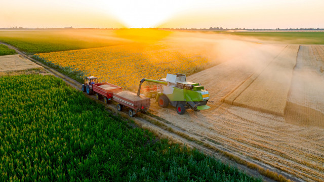 Reaper and wheat
